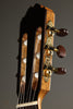Kremona Fiesta F65CW TLR Nylon String Acoustic-Electric Guitar New