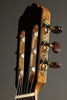 Kremona Fiesta F65CW TLR Nylon String Acoustic-Electric Guitar New