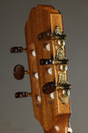 Kremona Fiesta F65CW TLR Nylon String Acoustic-Electric Guitar New