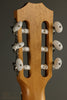 Taylor Guitars Academy 12e-N Nylon String Acoustic Guitar New