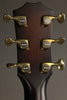 Taylor Guitars Builder's Edition 324ce Steel String Acoustic-Electric Guitar New