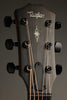 Taylor Guitars 324ce V-Class Bracing Steel String Acoustic Guitar New