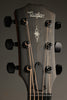 Taylor Guitars 324ce V-Class Bracing Steel String Acoustic Guitar New