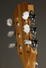 Taylor Guitars 214ce-N Nylon String Acoustic Guitar New
