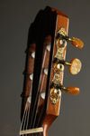 Kremona Rondo TL Nylon String Acoustic Electric Guitar New