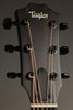 Taylor Guitars 214ce DLX Transparent Grey LTD Acoustic Electric Guitar New