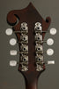 Eastman MD314 Mandolin - New