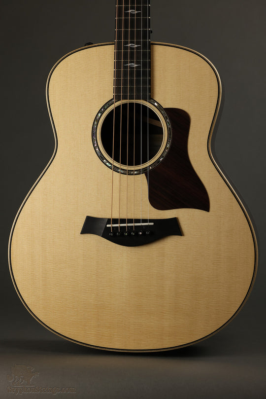 Taylor Guitars GT 811e, Rosewood/Spruce Steel String Acoustic Guitar New