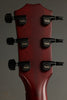 Taylor Guitars 224ce DLX LTD Transparent Red Acoustic Electric Guitar New