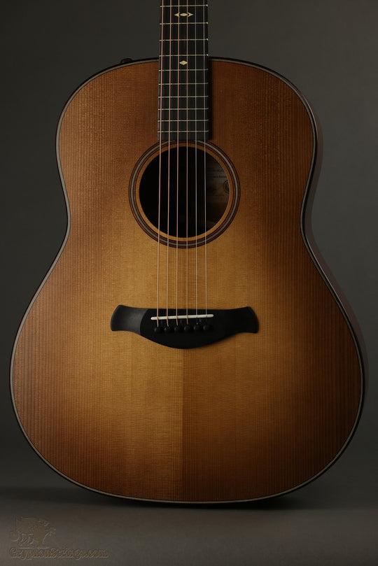 Taylor Builder's Edition 517e WHB Acoustic Electric Guitar Retired - New