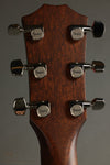 Taylor Builder's Edition 517e WHB Acoustic Electric Guitar - New