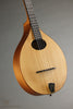 2023 Red Valley MB Irish Bouzouki - Used