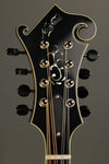 Northfield NFB-F5E Big Mon Engelmann Mandolin New