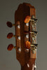 Kremona Rondo R65CWC Nylon String Acoustic-Electric Guitar New