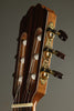Kremona Verea Nylon String Acoustic Electric Guitar New
