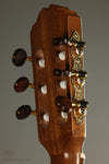 Kremona Verea Nylon String Acoustic Electric Guitar New