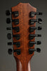 Taylor Guitars 362ce Acoustic Electric 12-String Guitar New