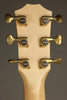 Taylor Custom Aged Maple Grand Auditorium Acoustic Electric Guitar - New