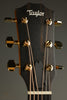 Taylor Guitars 214ce DLX Steel String Acoustic Guitar New