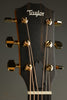 Taylor Guitars 214ce DLX Steel String Acoustic Guitar New