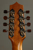 Kamaka HF-38 Tenor 8-String Ukulele New