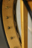 Rickard Whyte Laydie 12-Inch Five-String Banjo New