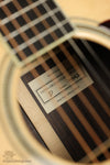 Santa Cruz Guitar Co. D Adirondack Acoustic Guitar - New