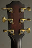 Taylor Guitars Builder's Edition 324ce Steel String Acoustic-Electric Guitar New
