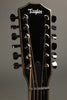 Taylor Guitars 858e Prototype Acoustic Electric 12-String Guitar New