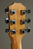 Taylor Guitars GS Mini-e Mahogany Steel String Acoustic Guitar New