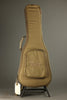 Taylor Guitars Baby Mahogany (BT2e) Acoustic Electric Guitar New
