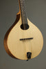 Red Valley AMW Mandolin New
