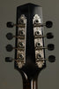 Northfield A5 Special NFMSP-A5WN Wide Nut Mandolin - New