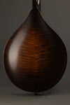 Northfield M Series NFM-A5 Mandolin - New