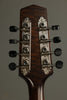 Northfield M Series NFM-A5 Mandolin - New