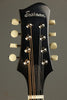 Eastman MD505 MD5 Series Limited Edition Mandolin New