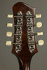Eastman MD505 MD5 Series Limited Edition Mandolin New