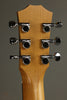 Taylor Guitars Baby Mahogany (BT2) Steel String Acoustic Guitar New