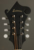 Eastman MD315 Mandolin New