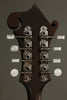 Eastman MD315 Mandolin New