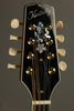 Kentucky KM-505 Artist Mandolin New