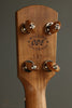 ODE Magician 11" Cherry 5-String Open Back Banjo New