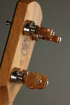 ODE Magician 12" Mahogany 5-String Open Back Banjo New