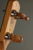 ODE Magician 12" Mahogany 5-String Open Back Banjo New