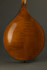 Northfield A5 Special NFMSP-A5 Mandolin - New