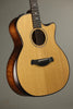 Taylor Custom Aged Maple (BE 614ce) Acoustic Electric Guitar New