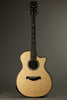 Taylor 914ce Acoustic Electric Guitar - New