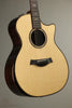 Taylor 914ce Acoustic Electric Guitar - New