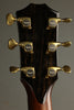 2023 Taylor 914ce Acoustic Electric Guitar - Used