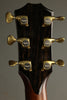 Taylor 914ce Acoustic Electric Guitar - New